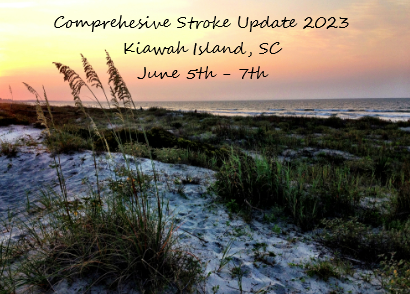 Comprehensive Stroke Update 2023 - Kiawah Island Banner